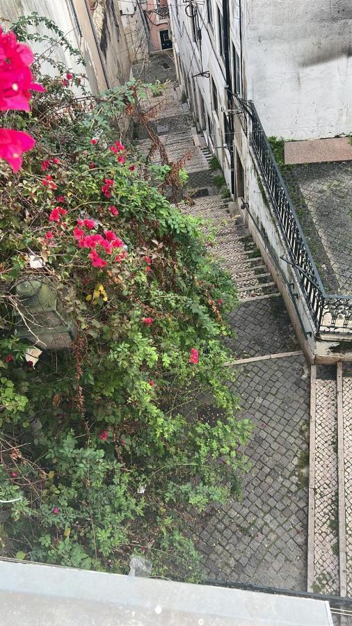 Alfama Authentic Lisbon Lejlighed Eksteriør billede